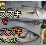 ヒラスズキとマルスズキの味と見た目の違いを実感！