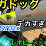 デイズ702Xでメガドッグと頂いたハンドメイドルアーを投げる！【シーバス釣り】【メガドッグ】【ベイトキャスティング】