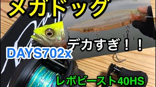 デイズ702Xでメガドッグと頂いたハンドメイドルアーを投げる！【シーバス釣り】【メガドッグ】【ベイトキャスティング】