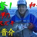 【サラシを破る！】和歌山県／潮岬のヒラスズキ／宇井晋介　Blackfin seabass at Cape Shio, Wakayama Prefecture