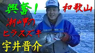 【サラシを破る！】和歌山県／潮岬のヒラスズキ／宇井晋介　Blackfin seabass at Cape Shio, Wakayama Prefecture