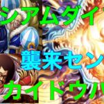 【OPTC】ワンピーストレジャークルーズコロシアムダイフク&襲来センゴク攻略