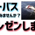 【シーバスの素晴らしさをプレゼンします】バス釣りから！渓流から！ロックフィッシュから！どのジャンルからでもハマる要素満載です！