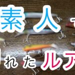 シーバス初心者のルアーとタックル紹介。ど素人が釣ったから為になる！？