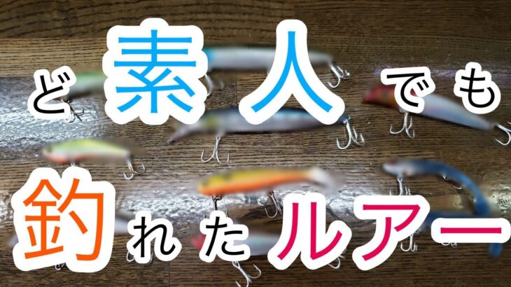 シーバス初心者のルアーとタックル紹介。ど素人が釣ったから為になる！？