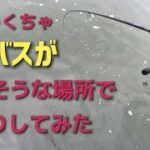 【シーバス釣行動画】めちゃくちゃ釣れそうな堰で釣りしてみた！