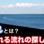 【シーバス初心者向け講座】釣れる流れとは？流れの探し方！