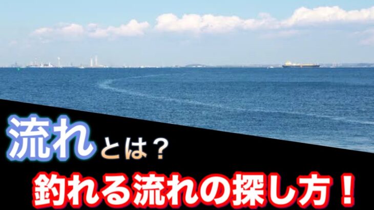 【シーバス初心者向け講座】釣れる流れとは？流れの探し方！