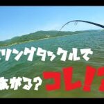 メバリングタックルで挑むリバーシーバス　デイゲーム【シーバス釣り】