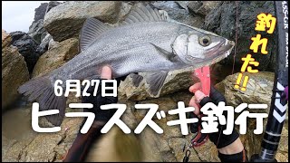 長崎県西海市でヒラスズキを釣る！！