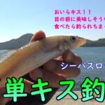 シーバスロッドで簡単キス釣り！