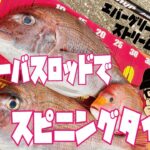 【秋田釣り】【真鯛】ガチシーバスロッドでスピニングタイラバ