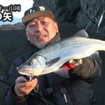 ファンキー山岡の三本の矢　青物・ヒラスズキ・ロックフィッシュを狙う!!