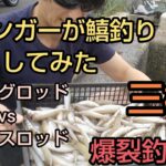 三桁爆裂鱚釣果！エギングロッド対シーバスロッド。どっちが有利？