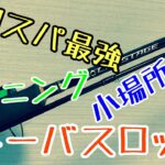 コスパ最強シーバスロッド紹介！小場所のスピニングタックルはこれしかない！