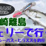 長崎離島　巨大ダツも釣れた！　シーバス・ヒラスズキ釣行