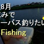 [フライ編] 暑い8月 夕涼みで川シーバス釣りたい トップウォーター