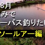 [ルアー編] 暑い8月 夕涼みで川シーバス釣りたい