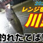 シーバス釣り☆橋脚パターンはレンジが重要!ワームはグラスミノー最後でも効くラパラ野郎のリバーデイゲーム