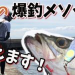 真夏のシーバス爆釣メソッド【岸壁ジギング】狙い場所やタックルを大公開！わかりやすく解説していきます！