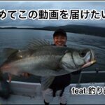 【 鹿児島 錦江湾 ボートシーバス ヒラスズキ  】愛を込めてシリーズ　届け！この想い！ feat.釣り船 まりや