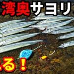 【サヨリ釣り】東京湾奥でサヨリングが釣れる！アジング、シーバスロッドで手軽に釣れる。初心者必見の新しい釣り方。