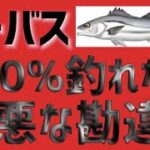 【シーバス】海と河川での釣り分けは？どっちに行けば釣れる？アクションは変える？そんな海と川の両方で釣果アップさせる必須条件！