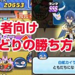 【ぷにぷに攻略】よこどりのコツ 勝ち方 無課金 白蛇カイラのお宝あつめ 武道会 妖怪三国志 妖怪ウォッチ