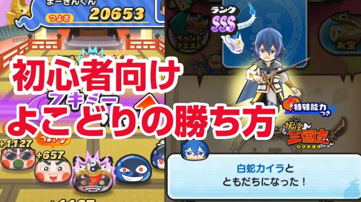 【ぷにぷに攻略】よこどりのコツ 勝ち方 無課金 白蛇カイラのお宝あつめ 武道会 妖怪三国志 妖怪ウォッチ