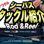 【シーバスタックル紹介】激安ロッドと高級ロッド！？汎用性と使い分け