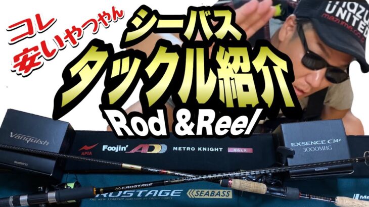 【シーバスタックル紹介】激安ロッドと高級ロッド！？汎用性と使い分け