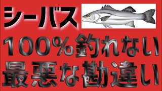 【シーバス】海と河川での釣り分けは？どっちに行けば釣れる？アクションは変える？そんな海と川の両方で釣果アップさせる必須条件！