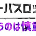 【シーバス】ロッドの知識がないと釣りが下手になる！絶対に抑えておきたいシーバスロッドの必須項目！