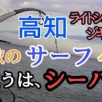 【高知サーフ釣り】秋の高知サーフで『シーバス（ヒラスズキ）狙い！！』