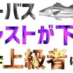 【シーバス】キャストが上達する３つの魔法！10分でキャストの上級者にします！