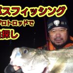 シーバスフィッシング  Fishmanプロトロッドで秋の魚探し