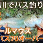 【渡良瀬川でバス釣り調査】川 シーバス釣り バス釣り スモールマウスバス 関東