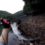 【爽快】シーバスがトップにでる瞬間【Fishing】#Shorts