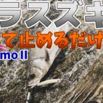 巻いて止めるの繰り返しでヒラスズキHIT！本編は5:00からです