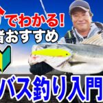 【シーバス釣り入門講座】初心者が最短でシーバスを釣るための方法！オヌマンのシーバス塾