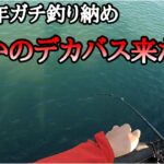 【バス釣り納め】今年ラストの琵琶湖をシーバスタックルで挑んでみたら…