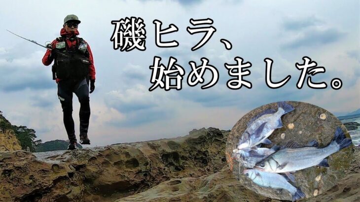 ゼロから始める磯ヒラスズキ【Lure fishing from rocks by the shore】