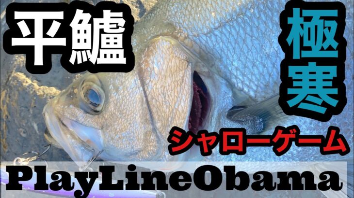 【長崎県】極寒のヒラスズキ　どシャローゲーム！！　PlayLineObama