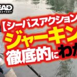 【シーバスアクション解析】今流行っているジャーキングが徹底的にわかる動画