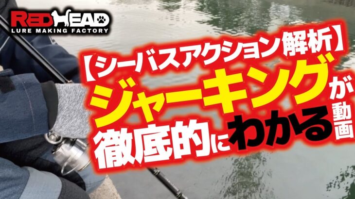 【シーバスアクション解析】今流行っているジャーキングが徹底的にわかる動画