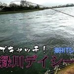 後輩を緑川（熊本市）デイシーバス釣りに連れて行ってみた（※HITシーンのみ）　#熊本 #シーバス #緑川