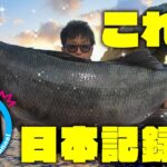 【ヒラスズキ】幻の日本記録！ボートからヒラスズキを狙え！