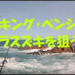 シンキング・ペンシルでヒラスズキを狙う！