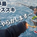 房総半島の磯でヒラスズキ狙ってたらやらかしちゃいました…