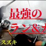 磯ヒラスズキVol③「ランガン」～これ知っておけば釣れる！～【攻略マニュアル】